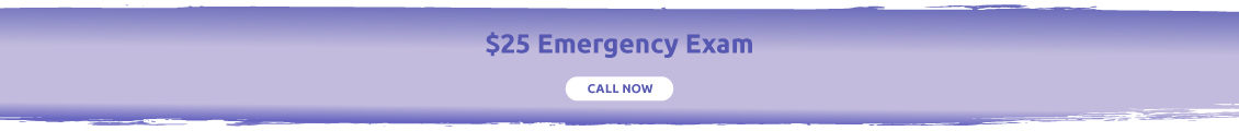 $25 Emergency Exam